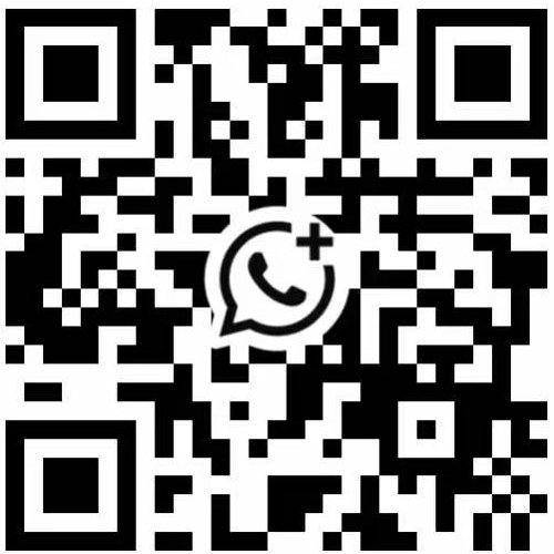 Julia · WhatsApp · QR code